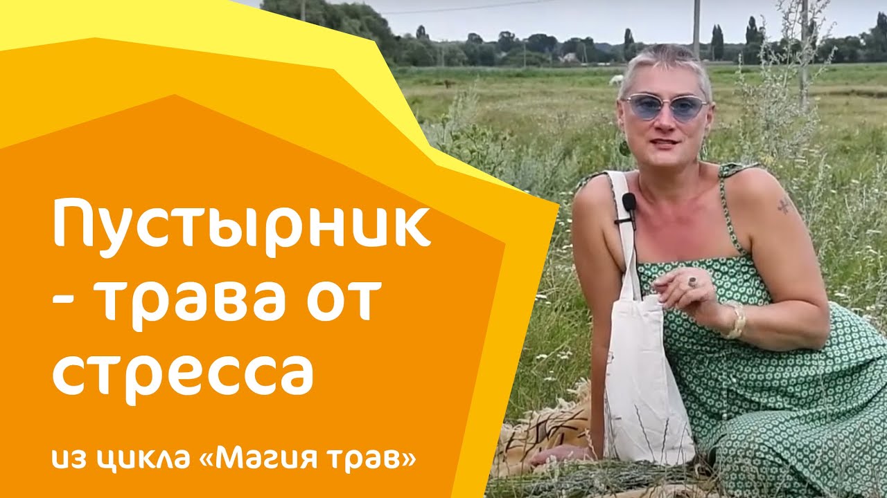 ПУСТЫРНИК - трава от стресса
