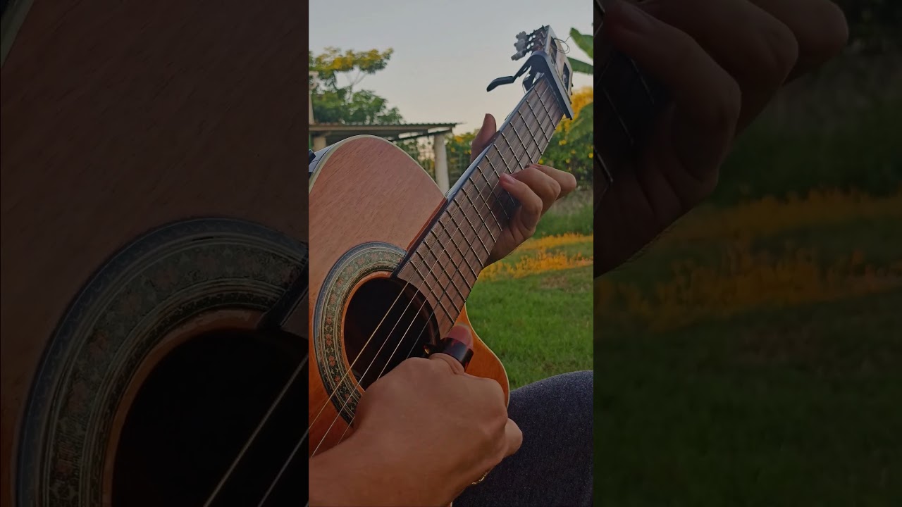 La Puerta - Los Tres Ases #requinto