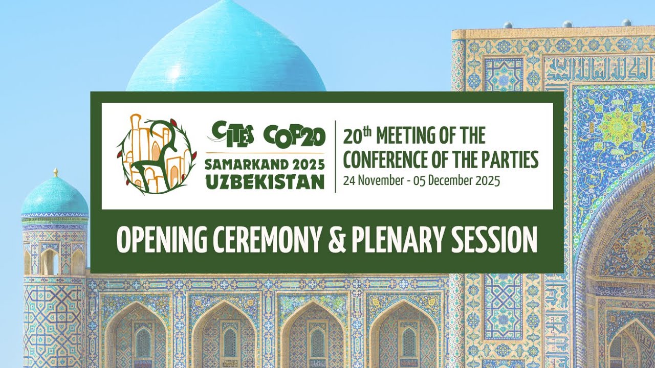CITES CoP20 Opening Ceremony & Plenary Session (24 November - Morning)