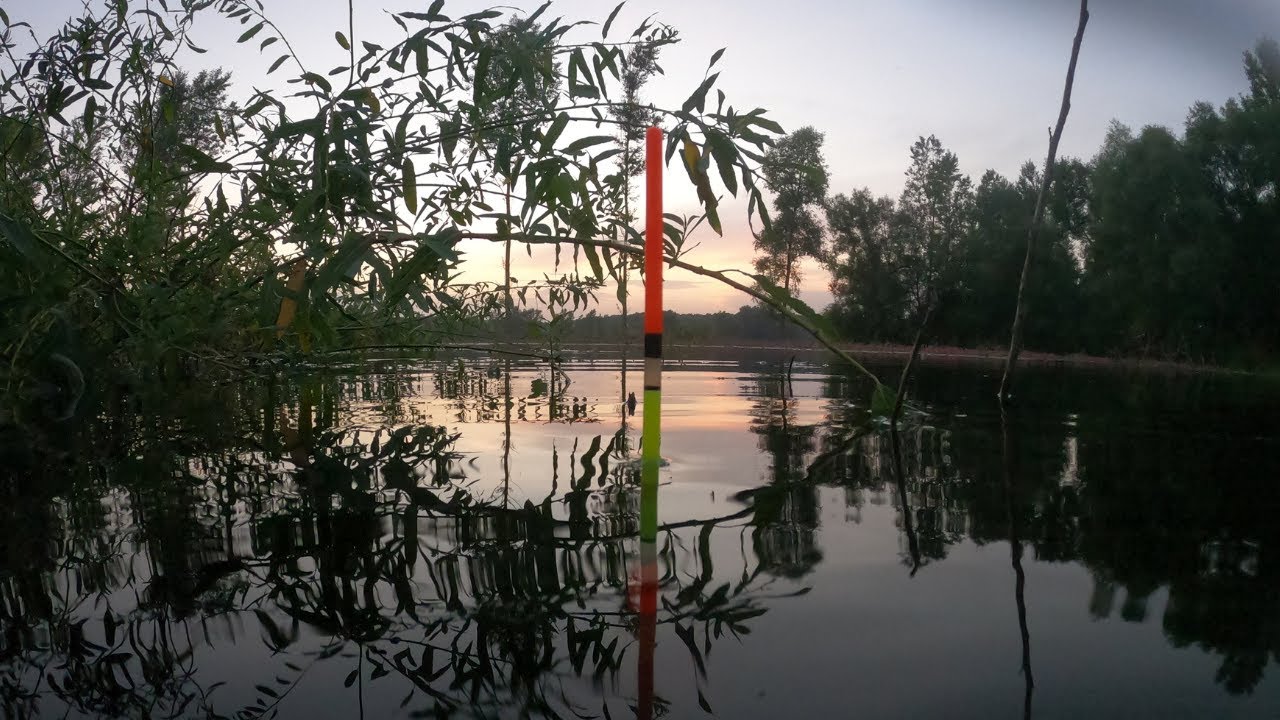 Ловля линя в озере поплавочной удочкой