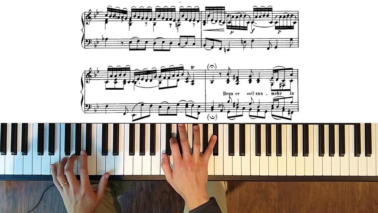 St Matthew Passion: 65. Mache dich, mein Herze, rein (piano transcription)