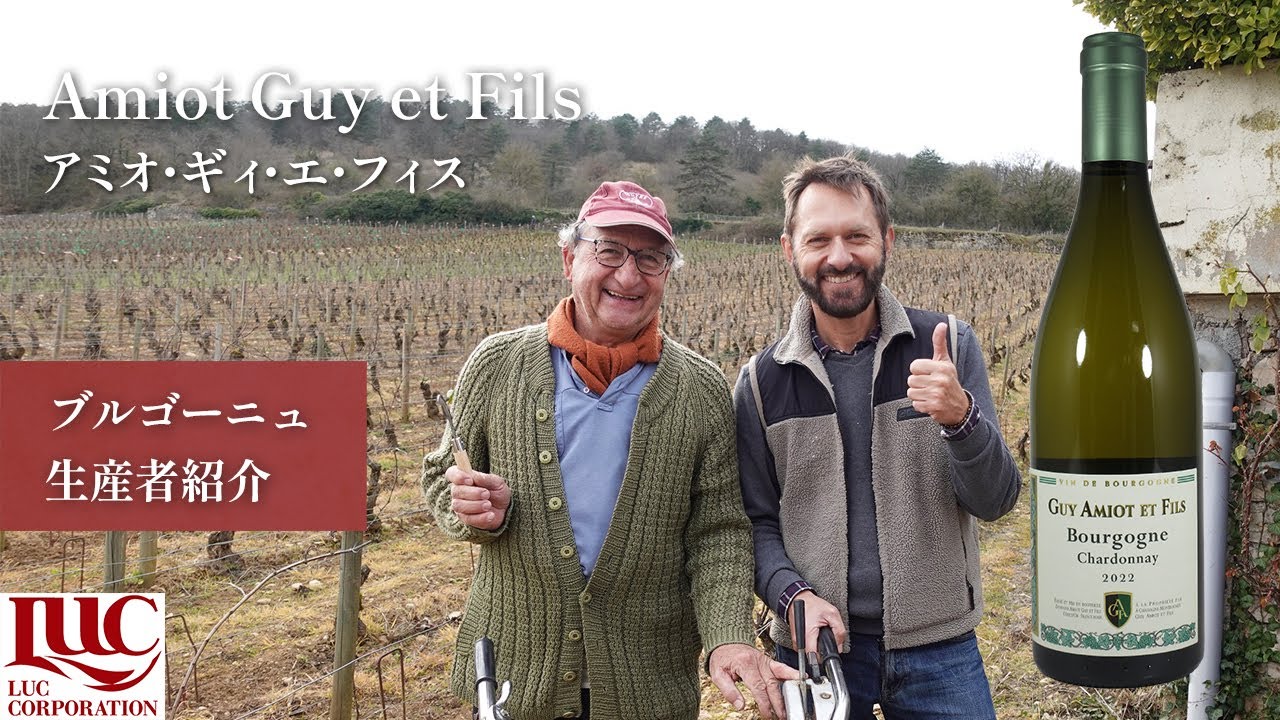 【Amiot Guy et Fils】アミオ・ギィ・エ・フィス　～ドメーヌ紹介～