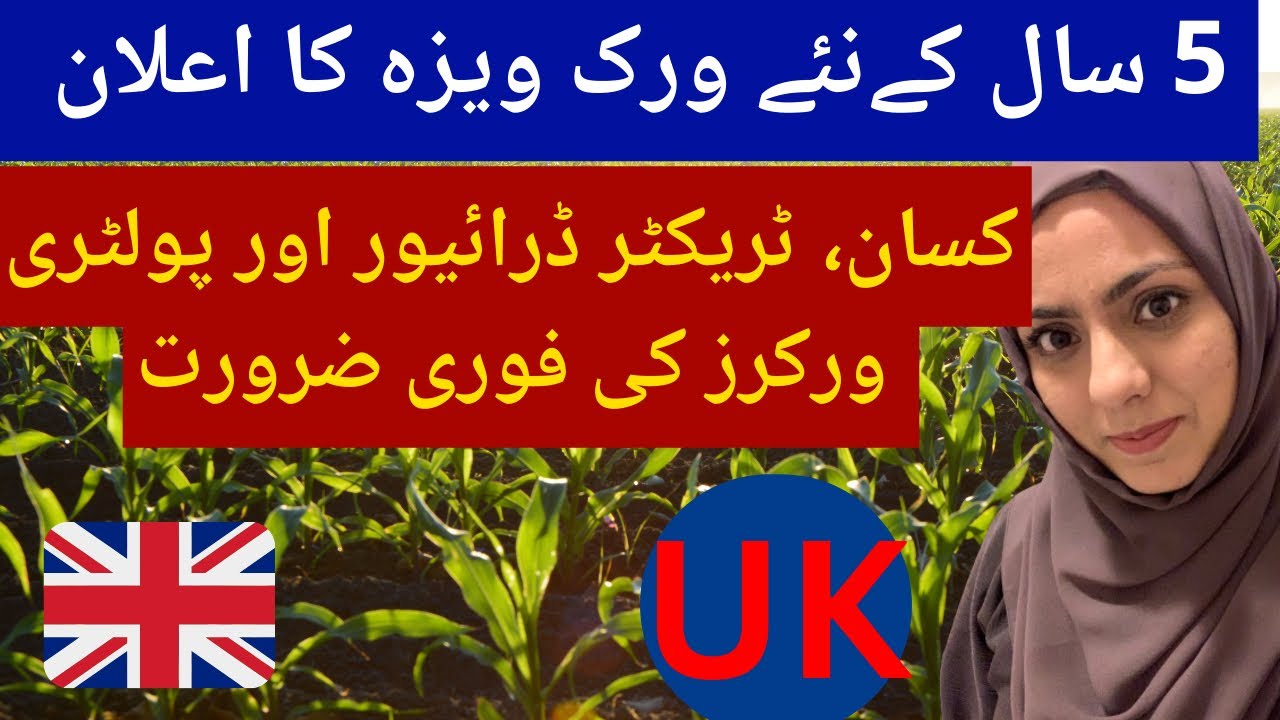 UK 5 year Visa Announced- No EXPERIENCE, No IELTS, No Qualification. UK Seasonal Worker Visa