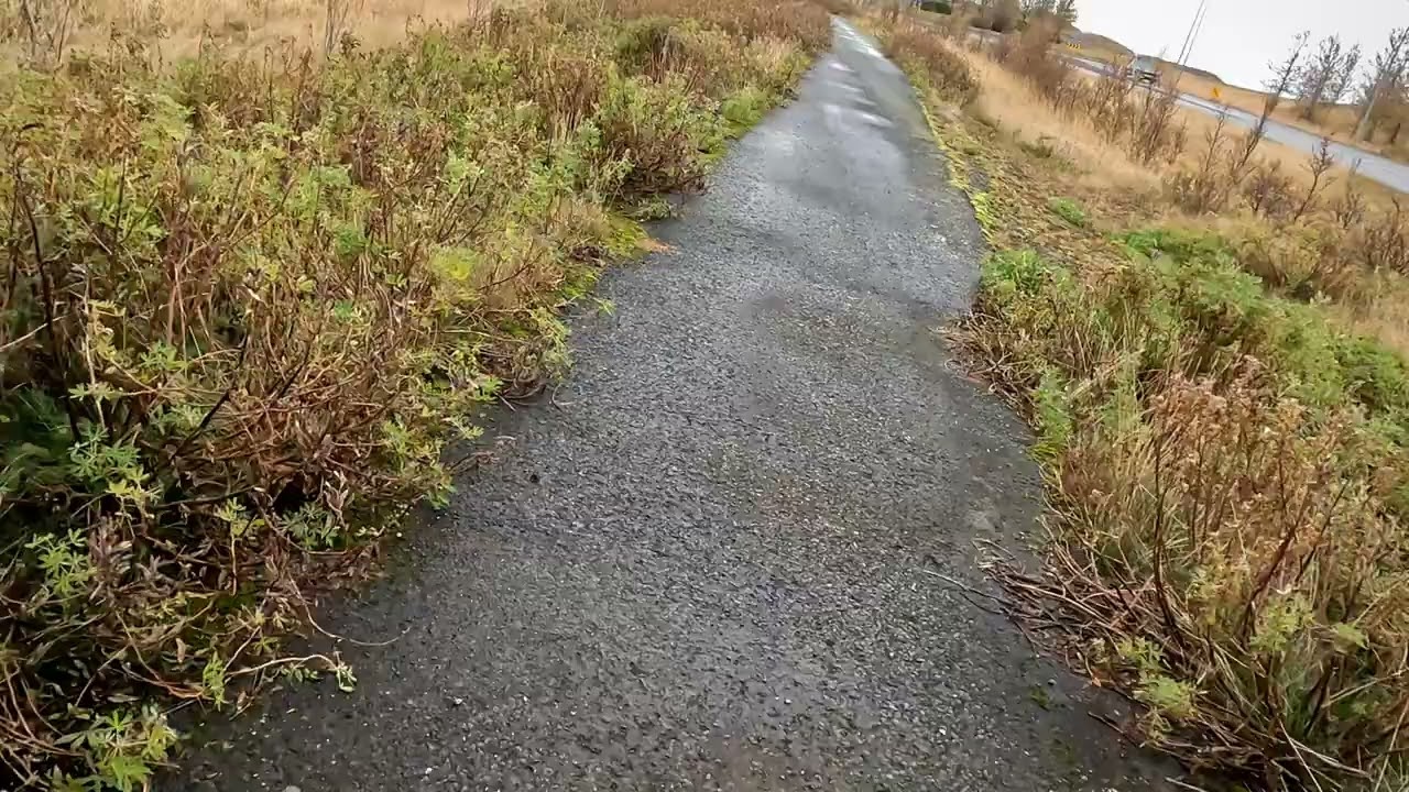 The North Hunt