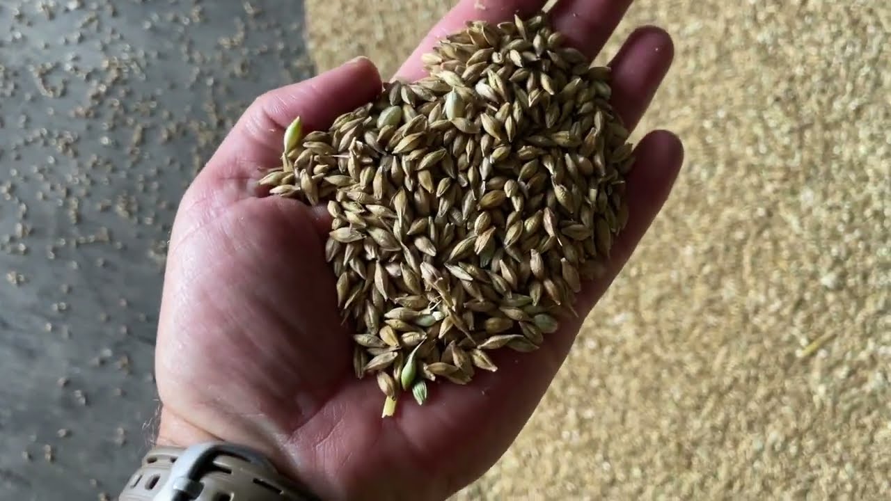 Harvest 2022 Day 2