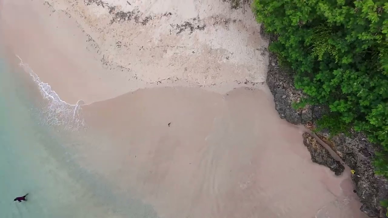Pakai drone di pantai eksotis di pantai pink 2