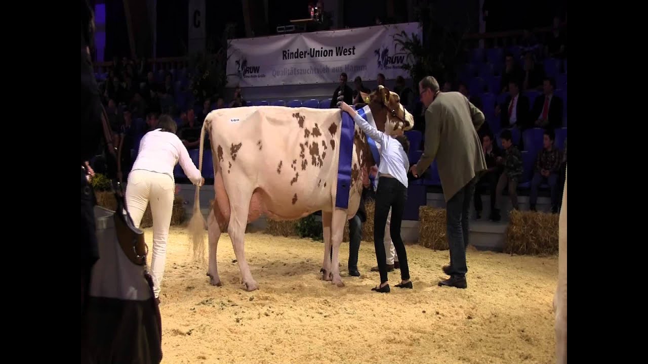 RUW Schau 2013 Teil 49