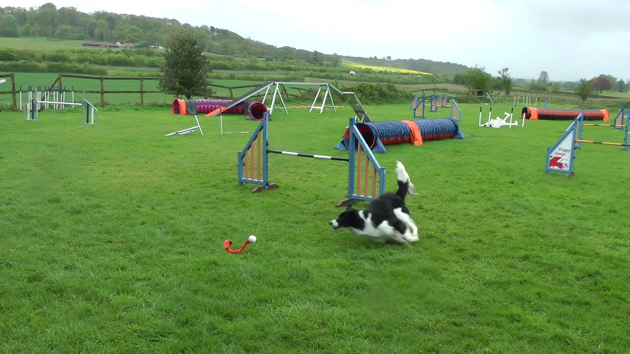 Q-ME AGILITY THREADLES