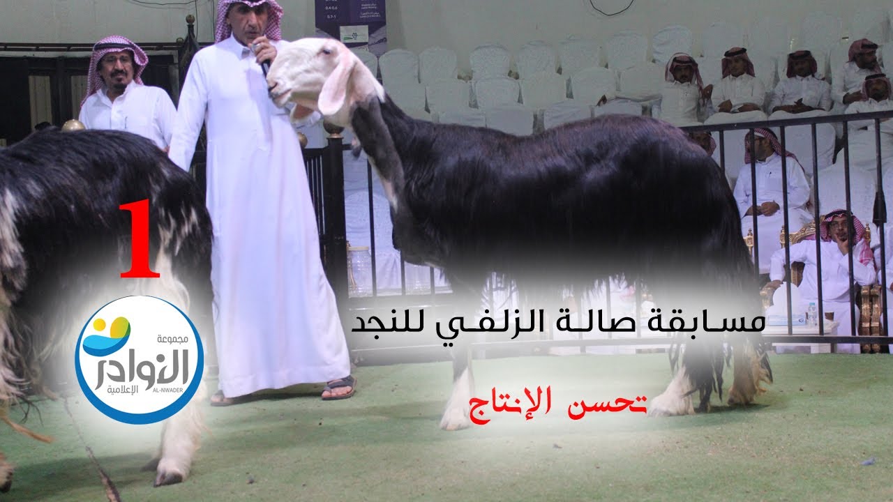 مسابقة صالة الزلفي للنجد عام 1445هجري (1)