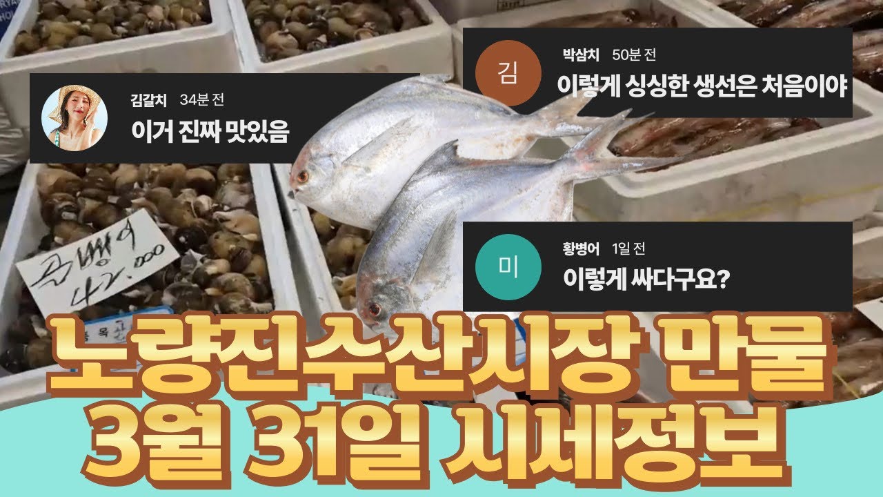 3월 31일 노량진수산시장 만물 (패류031) 시세정보 입니다. 35년 경력으로 믿고 찾아주세요☺