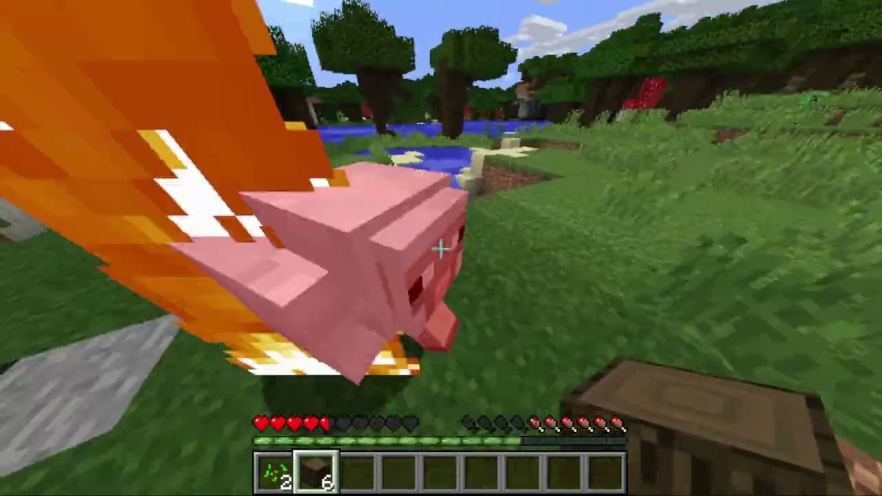Minecraft with my friend
