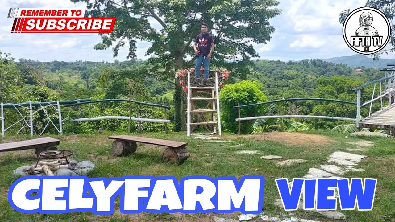 CELYFARM VIEW - TRAVEL VLOG