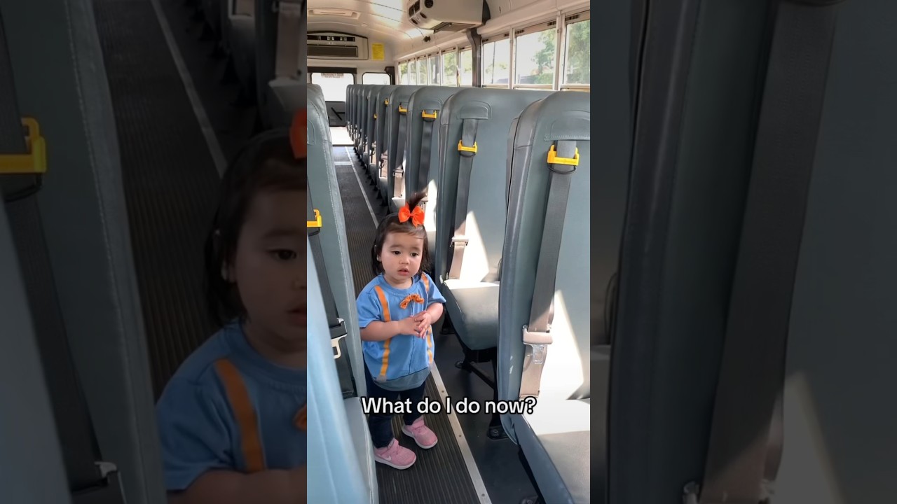 School Bus Touch A Truck