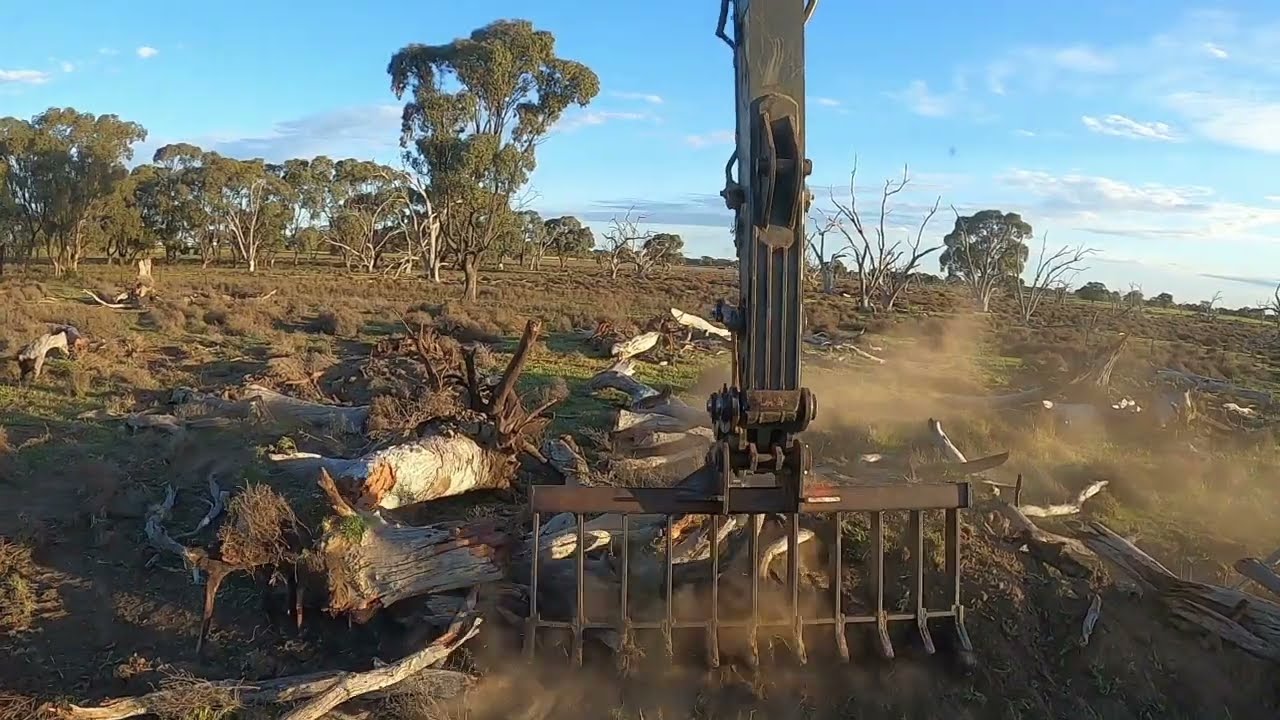 Reclaiming farm land from thorn bush's & dead tree's
