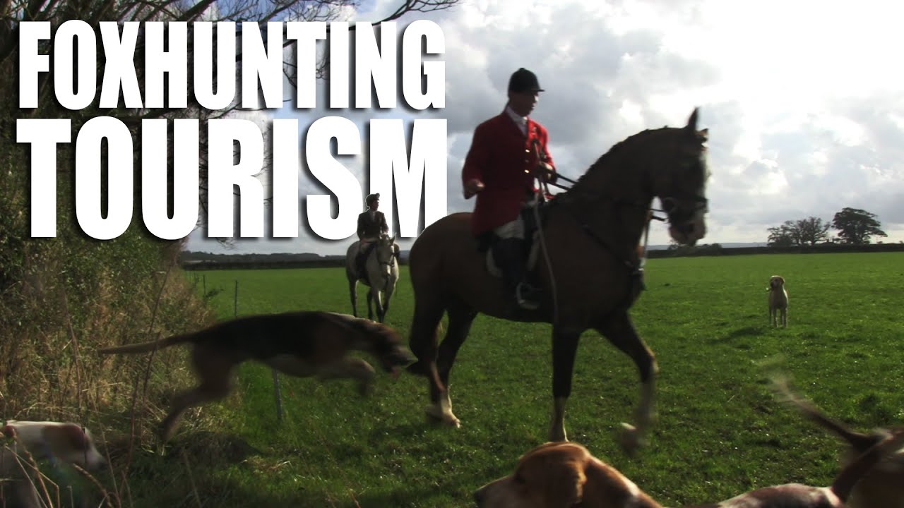 Foxhunting Tourism