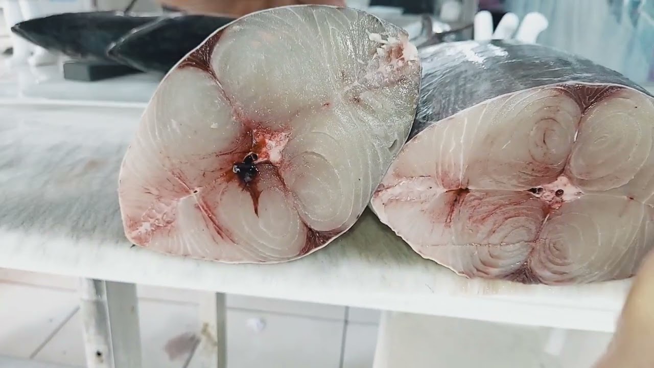 Como limpar e cortar Peixe Cavala