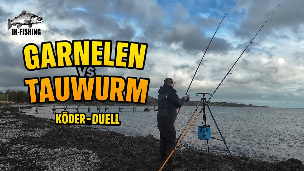 K&ouml;der-Duell in der Brandung &ndash; Tauwurm im Wattwurm-Dip vs. Garnelen!