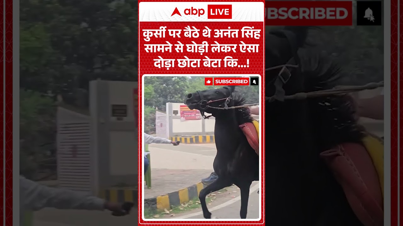 Viral Video : कुर्सी पर बैठे थे अनंत सिंह सामने से घोड़ी लेकर ऐसा दोड़ा छोटा बेटा कि...! #shorts