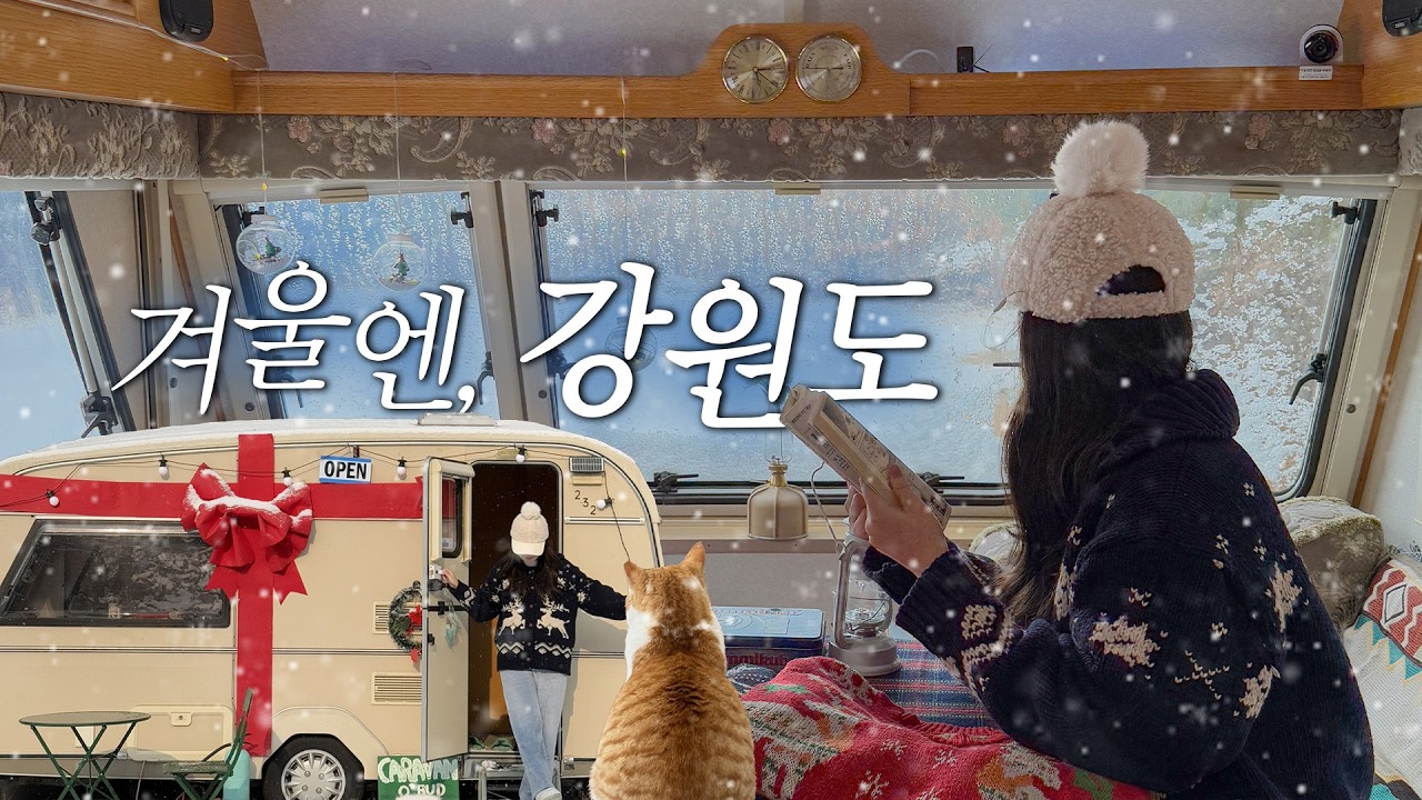 🌲삿포로 안 가도 되는 강원도 겨울 여행❄ (10만원대 숙소, 찐맛집, 카라반, 양떼목장🐑🩷)