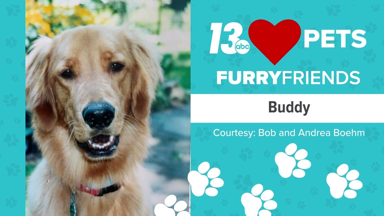 BUDDY 13LOVES PETS