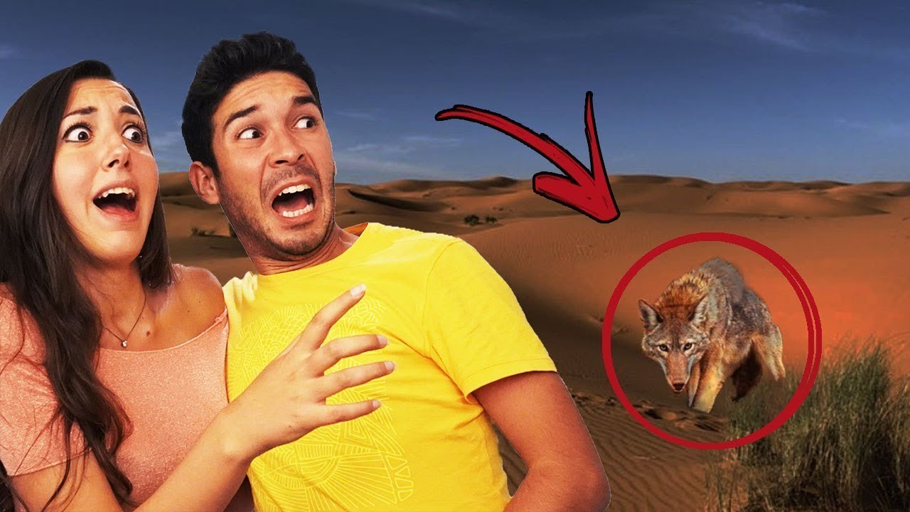 TUTTA LA NOTTE DISPERSI NEL DESERTO IN AMERICA! *ci sono i coyote*