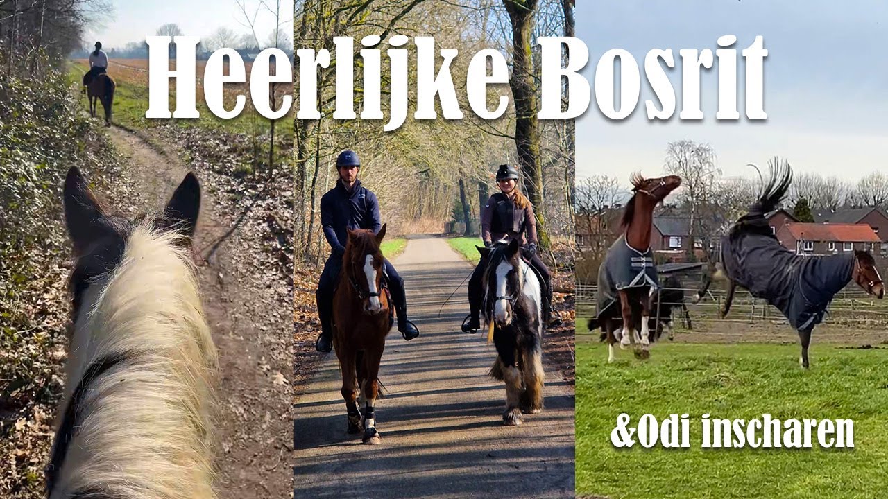 Bosritje & gaat het inscharen met Odi wel goed?