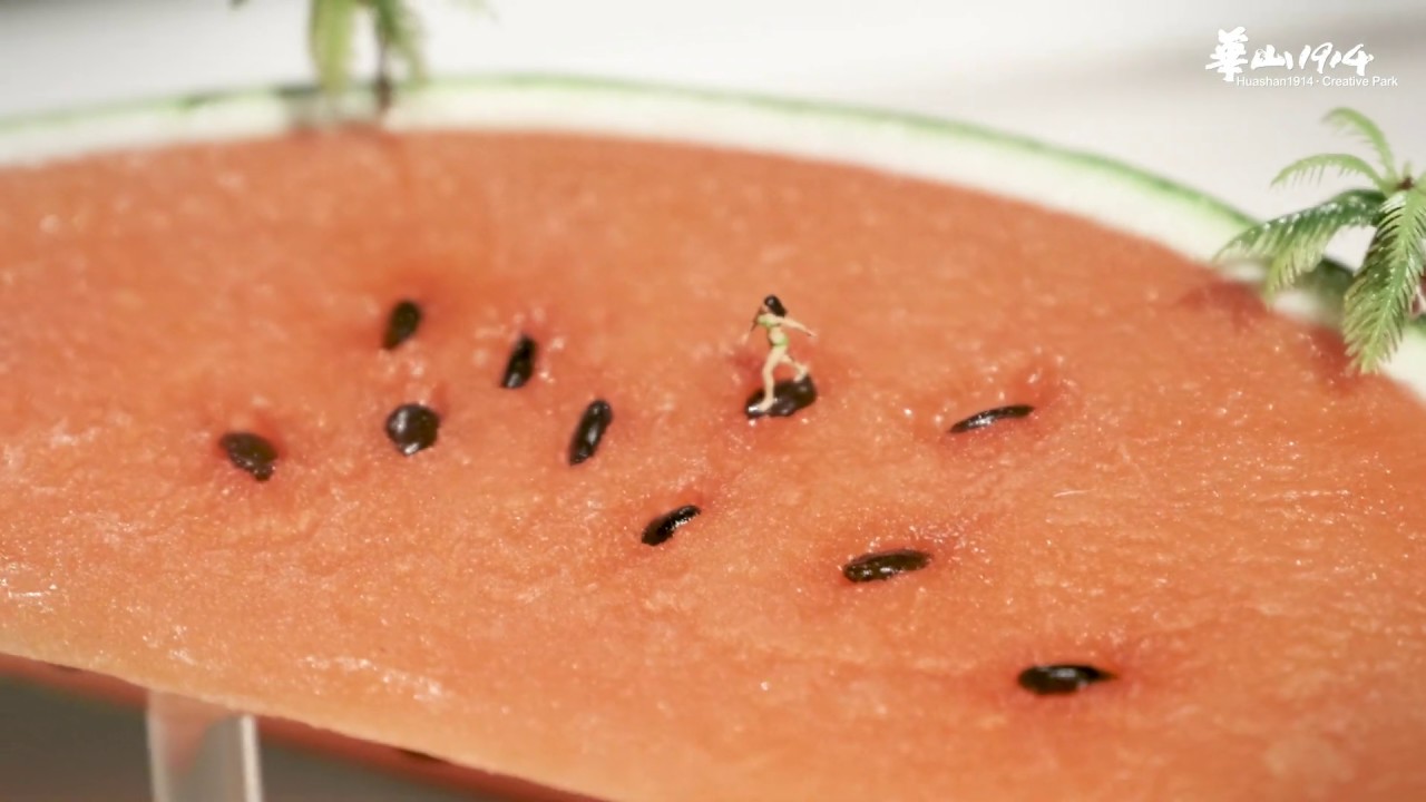 【 2019寒假特展】微型展2.0 田中達也的奇幻世界｜#2019華山寒假特展