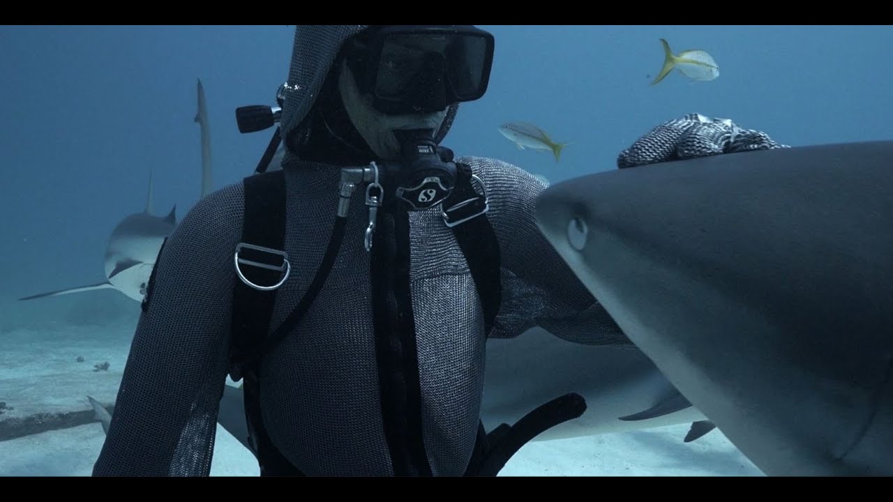 Cristina Zenato Shark Dancer, by SCUBAPRO