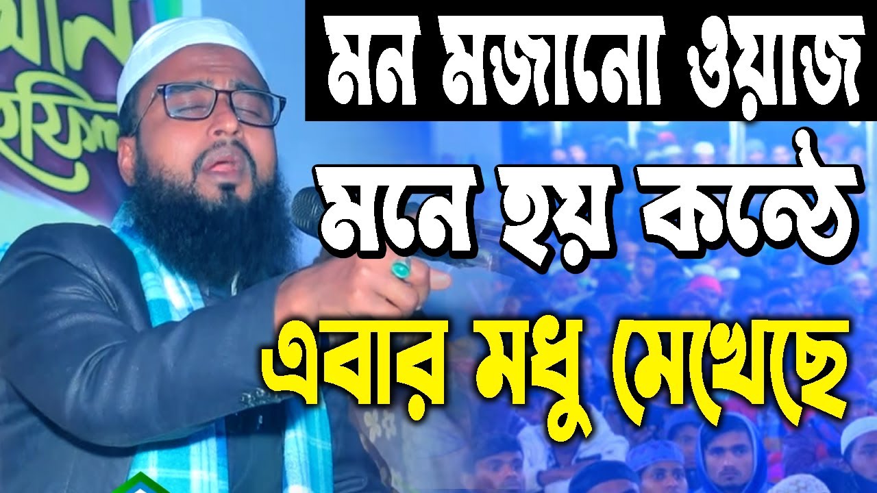 মন মজানো ওয়াজ মনে হয় কন্ঠে এবার  মধু মেখেছে,মাওলানা আব্দুর রহীম আল হোসাইনী#abdor rohim al hosaini