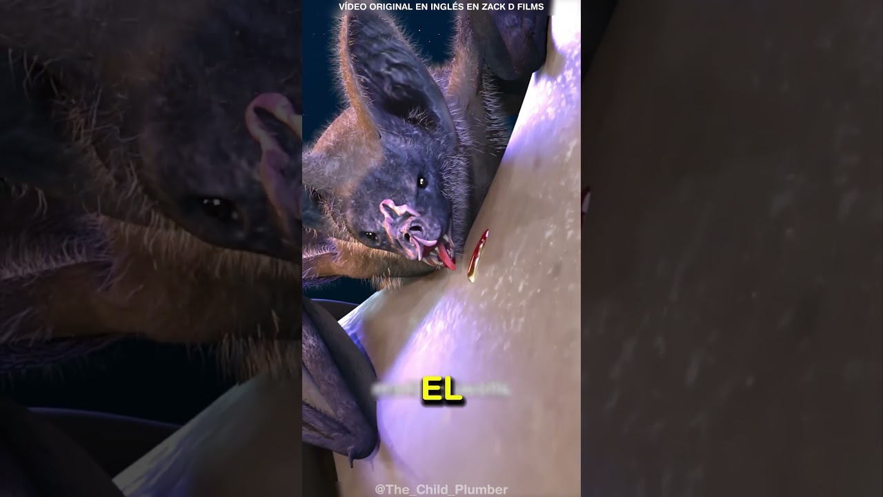 C&oacute;mo chupan la sangre humana los murci&eacute;lagos vampiro 😨