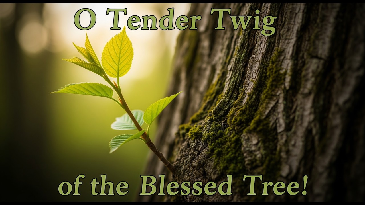 O Tender Twig of the Blessed Tree! Bahá'í Song 