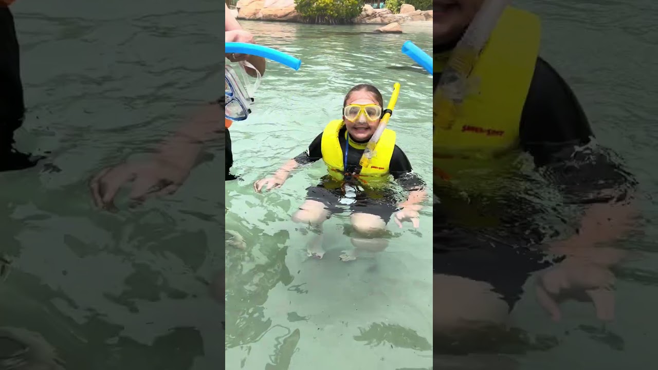 Discovery cove 2026 Orlando Florida part 1……..tbc 