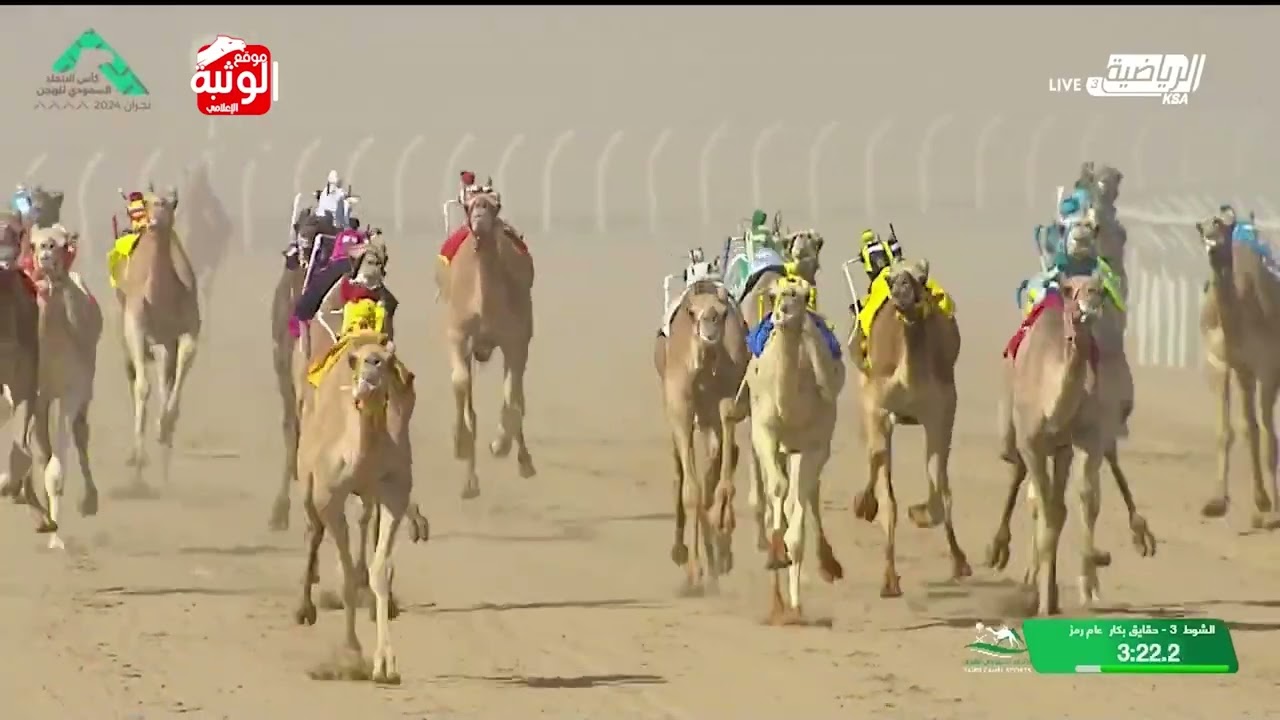 الشوط 3 كأس (طرب) لـ محمد صالح سالم الكربي 4:33:40 , كأس الاتحاد السعودي 2024/10/1 حقايق نجران