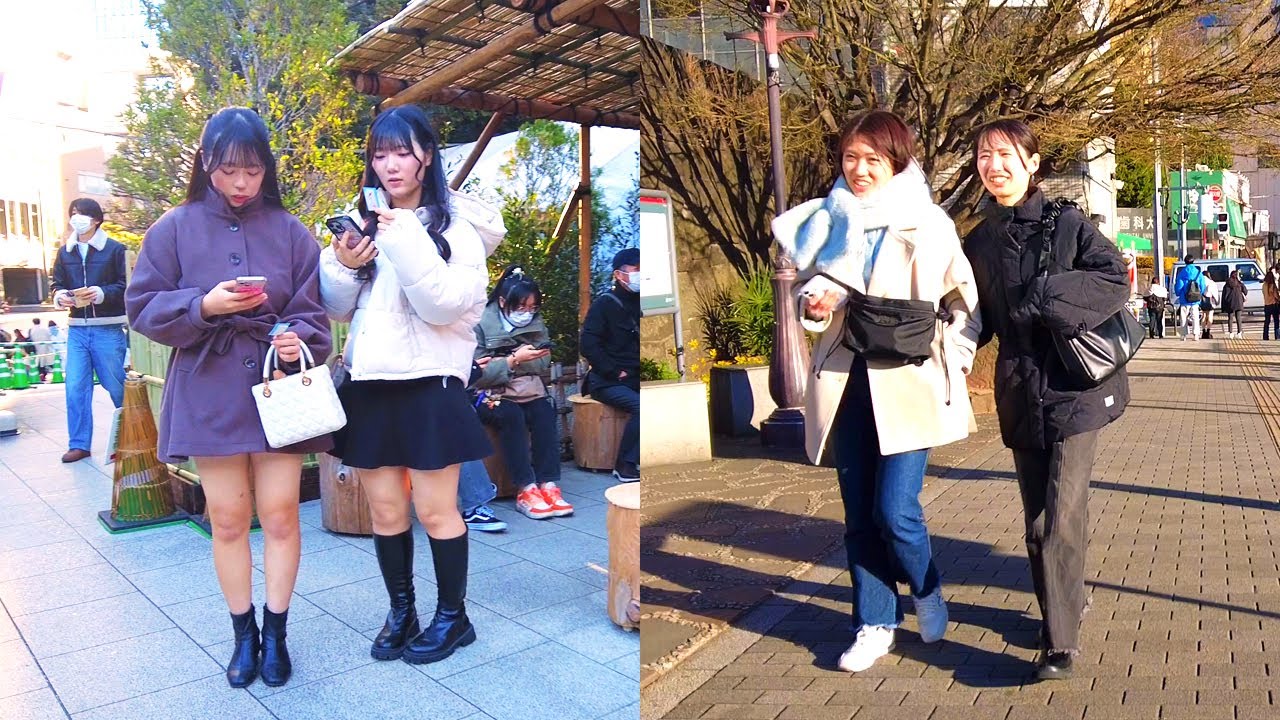 [4K]🇯🇵 Tokyo Walk Long - Historic Sites & Gardens of Central Tokyo - Feb. 2025