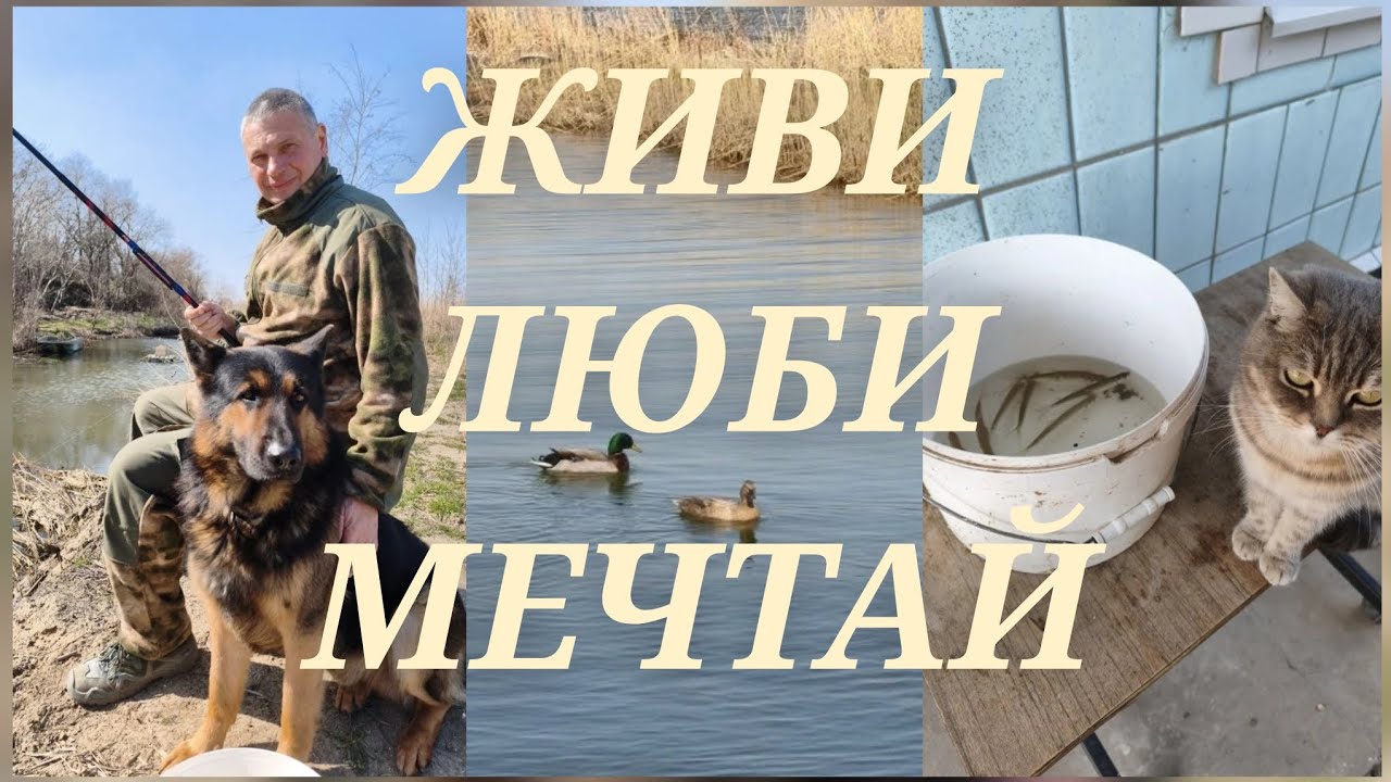 Живи. Люби. Мечтай. Обычный день из жизни блогера.