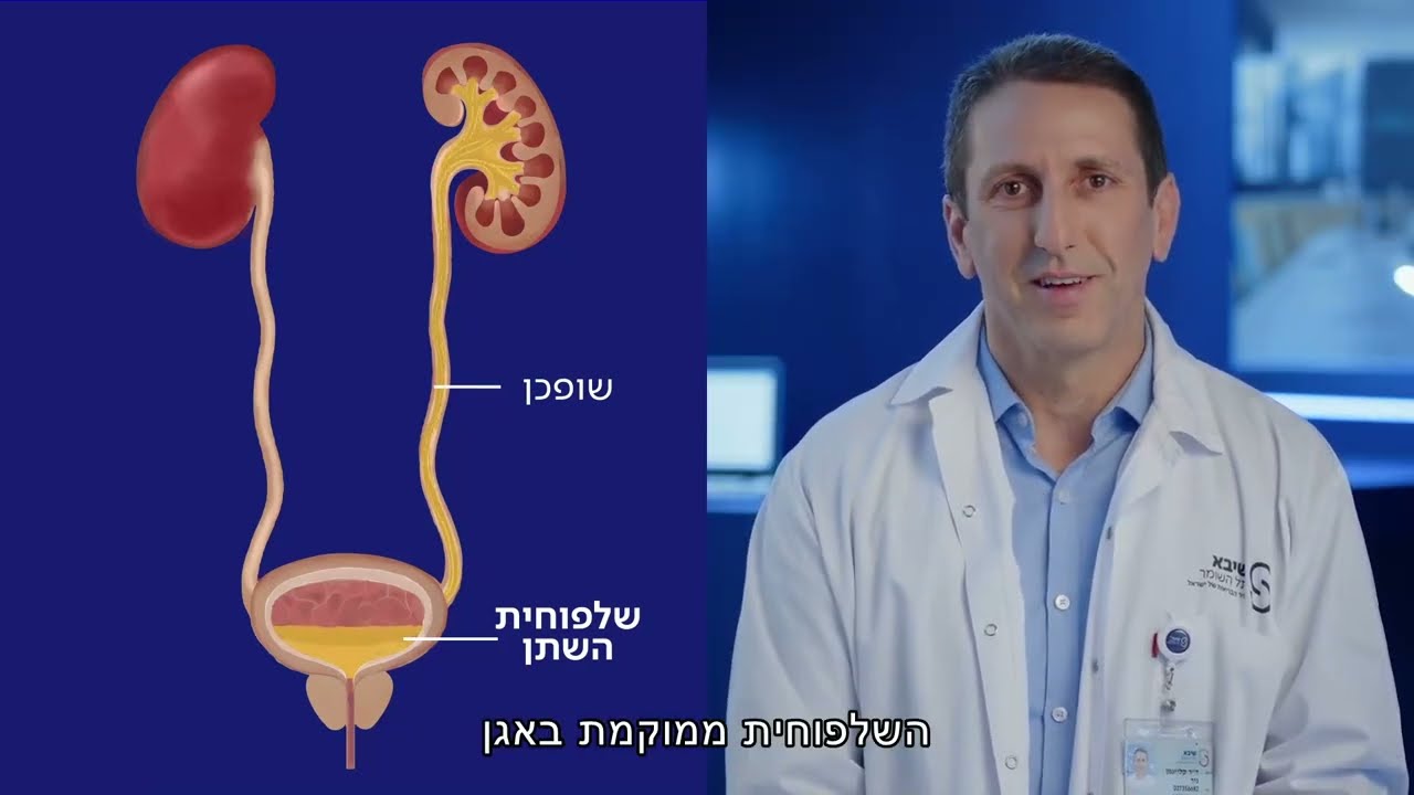 אורטרוסקופיה  ריסוק אנדוסקופי של אבנים בכליות