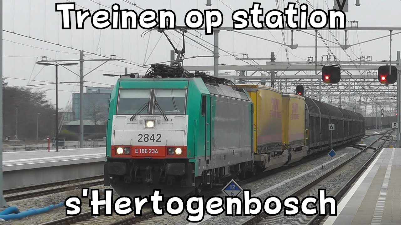 Treinen op station 's-Hertogenbosch