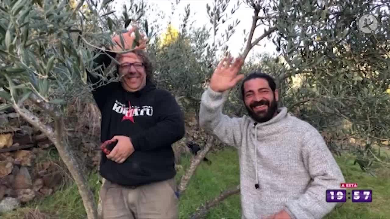 Avellanar, mas que un pueblo, una familia | A esta hora