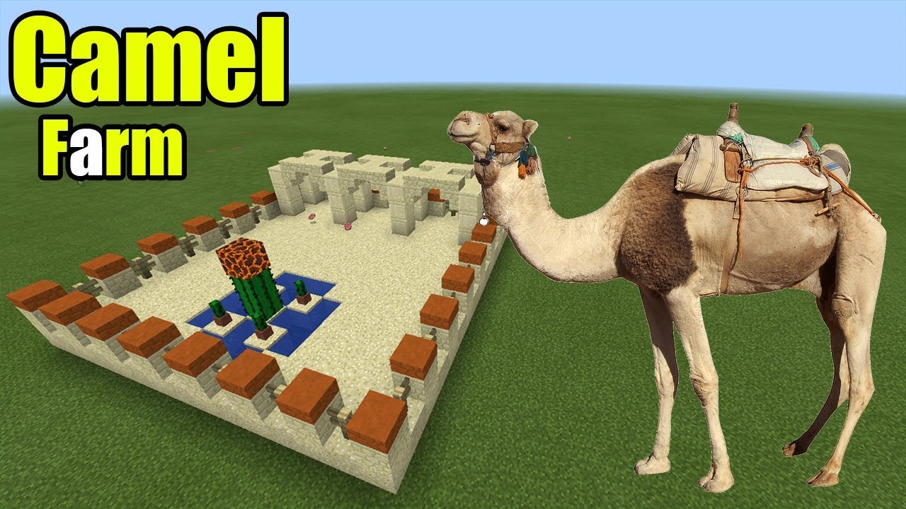 How to Make a Camel Farm | Minecraft PE