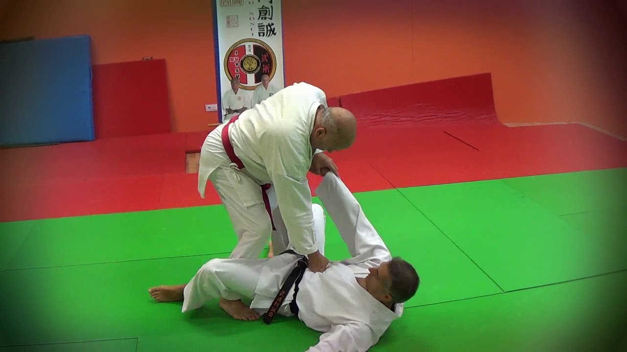 Kata Bujutsu Sanbon - Aplicaciones para Taijitsu Shinkyoku-Ryu