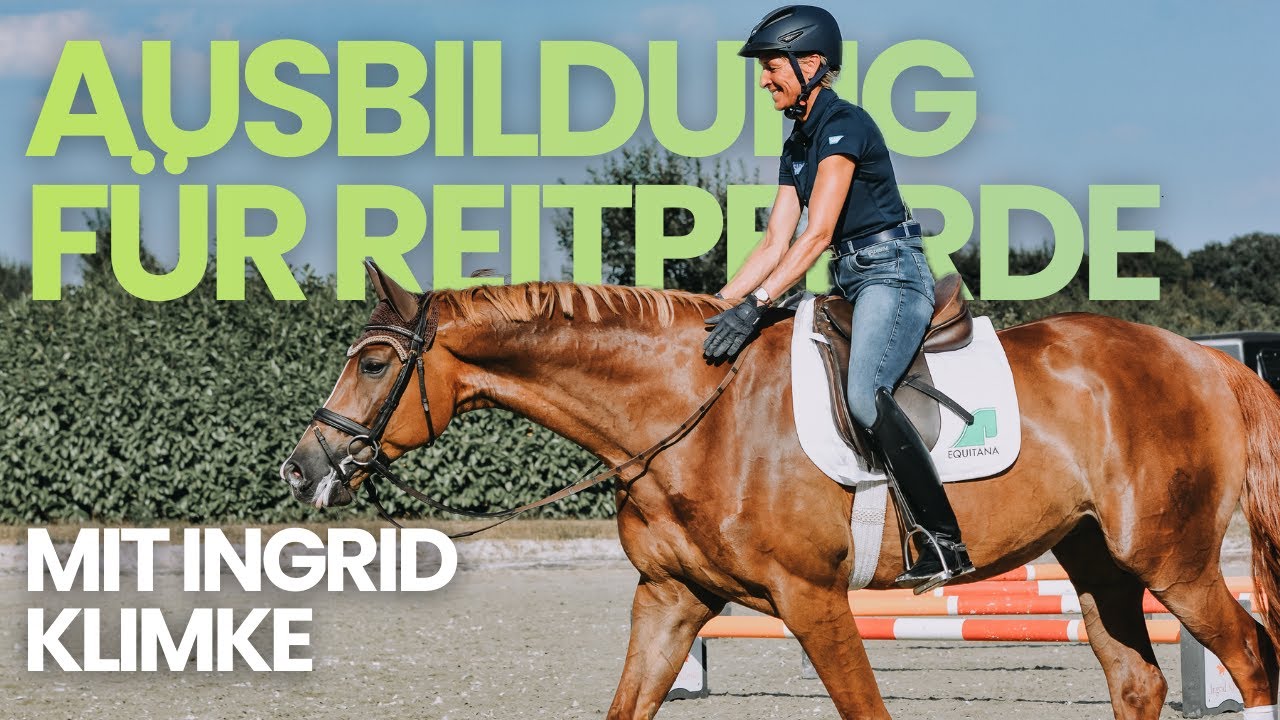 Grundausbildung für Reitpferde mit Ingrid Klimke | So legst du eine sichere & vielseitige Basis