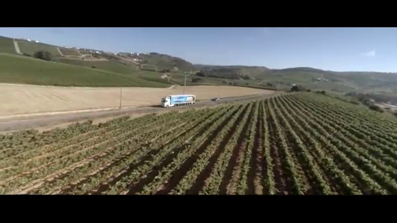 Riberalves 30 Anos - Vídeo Institucional 2015