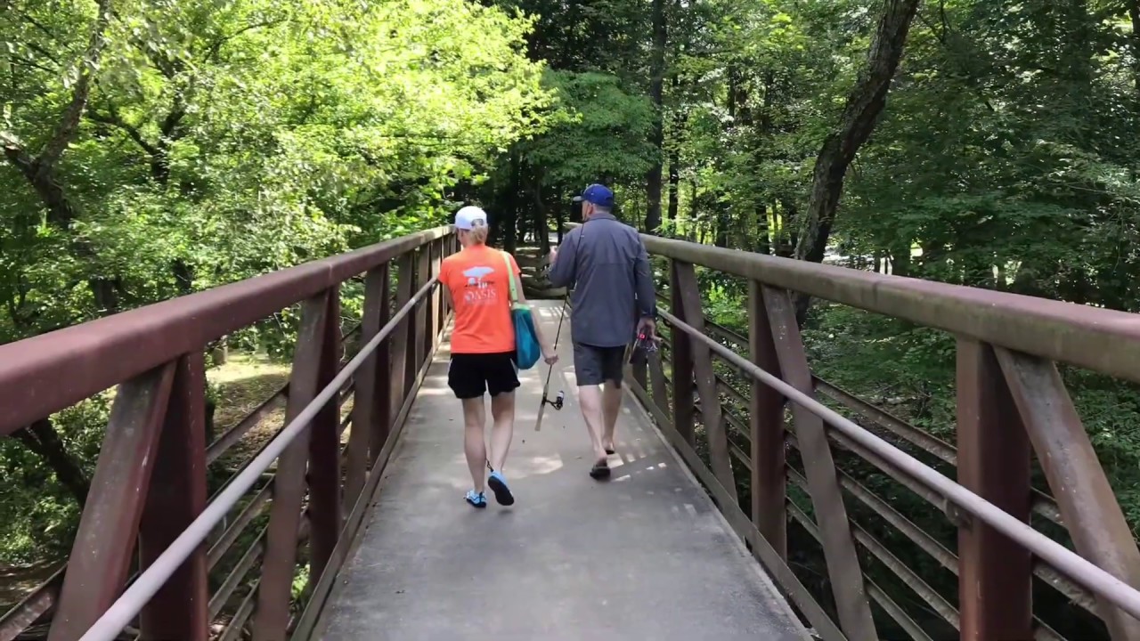 Island Park in Bryson City NC