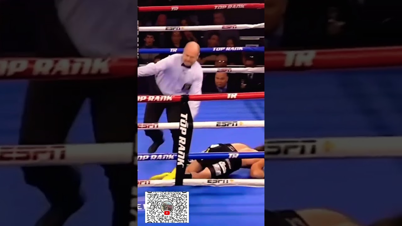 🧨MASON MENARD GETTIN FLATLINED FAE TEOFIMO LOPEZ🧨@THEMANFROMSCOTLAND#BOXINGKNOCKOUTS#DEC2018