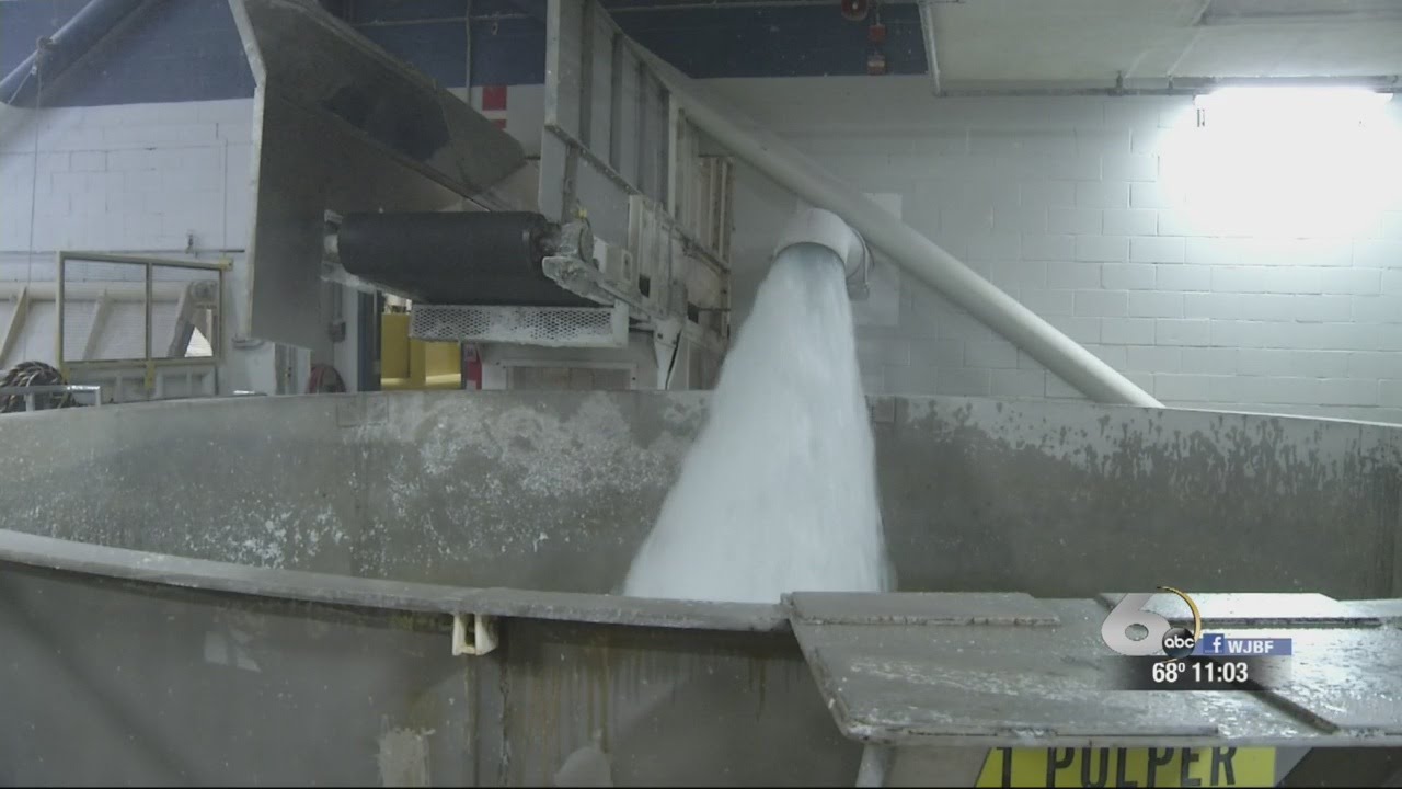 Kimberly-Clark mill in Beech Island receives global recognition for conserving hundreds of millions