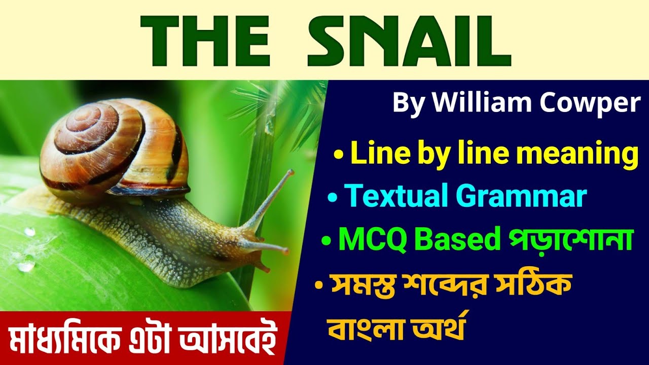 The Snail by William Cowper in Bengali with Question & Answer | মাধ্যমিক 2026 এটা থেকে আসবেই!