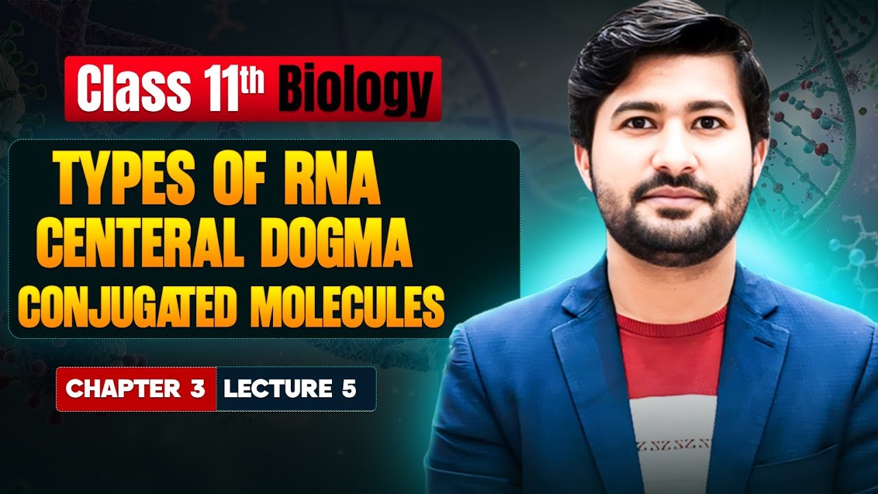 Types of RNA Explained: Class 11 Biology (New Book 2025) by irtisams biology 