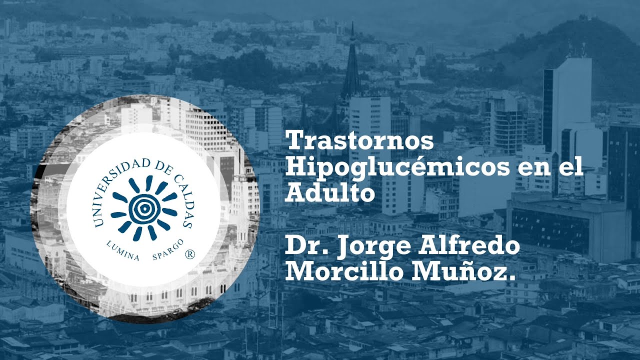 Estado del Arte: Trastornos Hipoglucémicos en el Adulto
