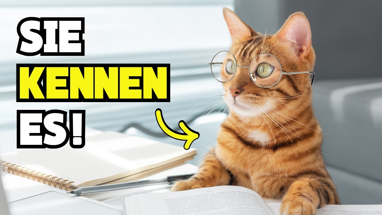 8 Wörter, die deine Katze tatsächlich VERSTEHT 🔥 (Wissenschaftlich bewiesen)