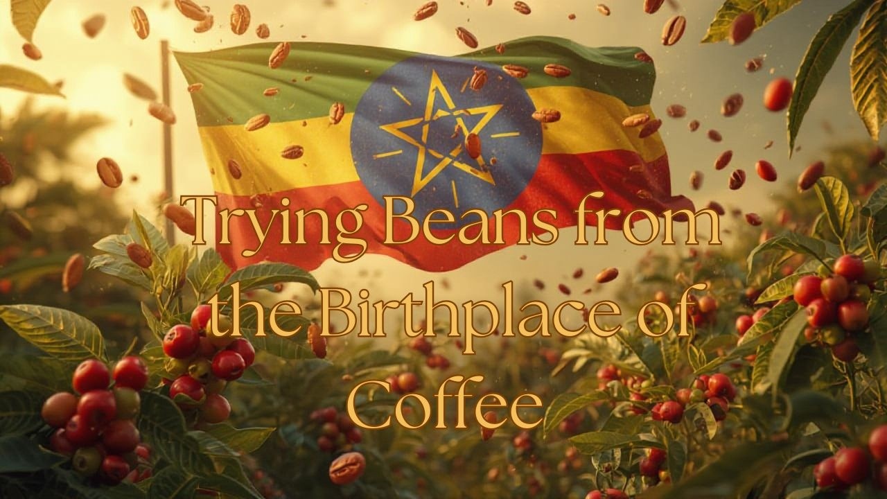 Дегустация зерен из колыбели кофе (Ninth Coffee, Huakui Ethiopia Review)
